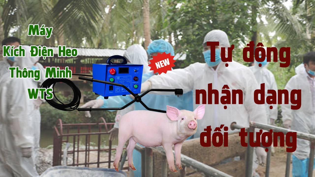 máy kích điện heo thông minh