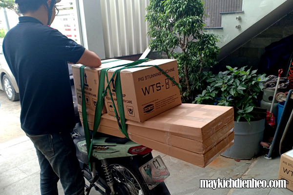 giao-hang-may-kich-dien-lon-wts