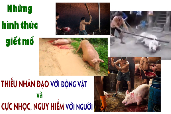 giet-mo-thieu-nhan-dao
