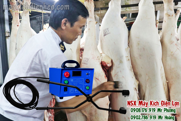 giet-mo-gia-suc-nhan-dao-bang-may-chich-dien-mo-lon