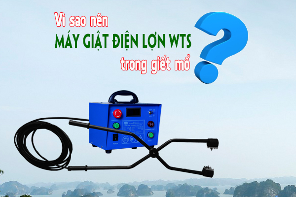 may-giat-dien-lon-trong-giet-mo