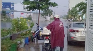Dù mưa hay nắng máy chích điện lợn WTS vẫn được giao hàng đúng hẹn