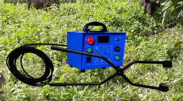 Các lò mổ phải tuân thủ quy định trong giết mổ nhân đạo